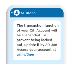 Citi scam example alert