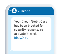 Citibank secure banking email phishing warning sample